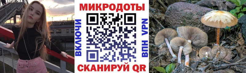 наркошоп Сосновый Бор Галлюциногенные грибы Psilocybine cubensis